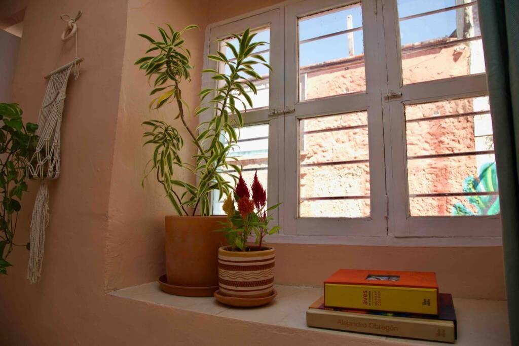 Great Location ! 4 Bedroom Home In The Heart Of Cartagena  Exterior foto